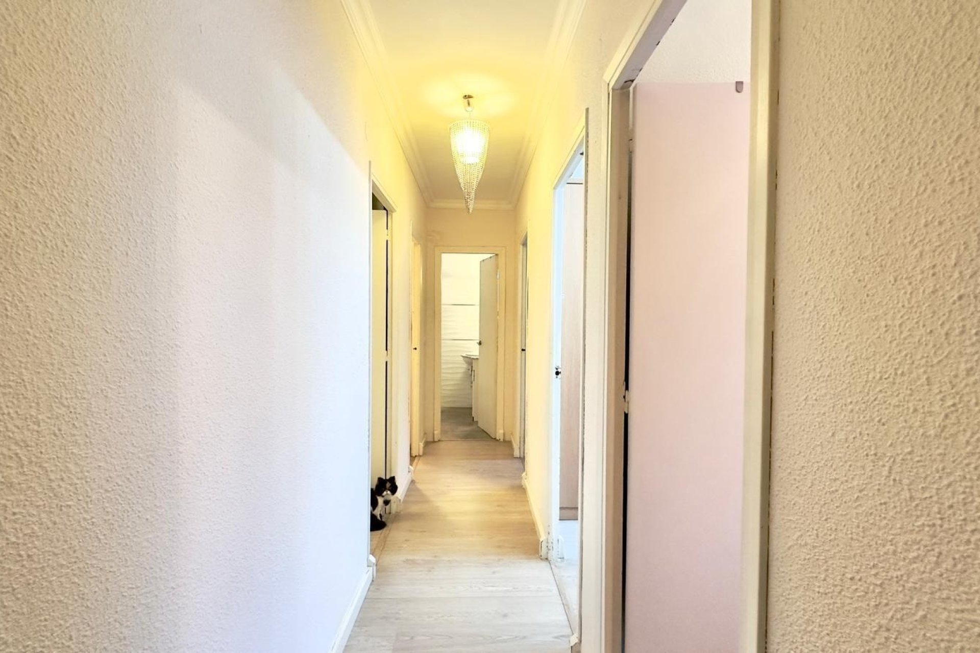 Revente - Apartment -
Torrevieja - Centro