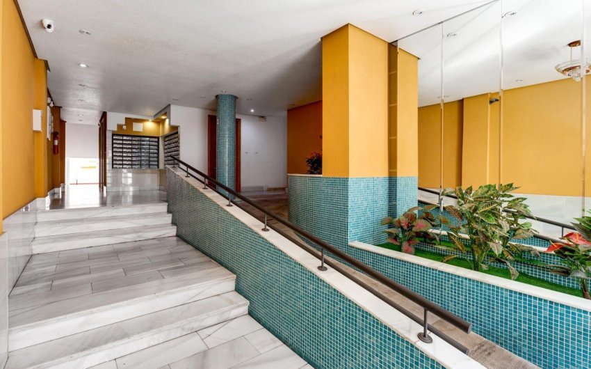 Revente - Apartment -
Torrevieja - Centro