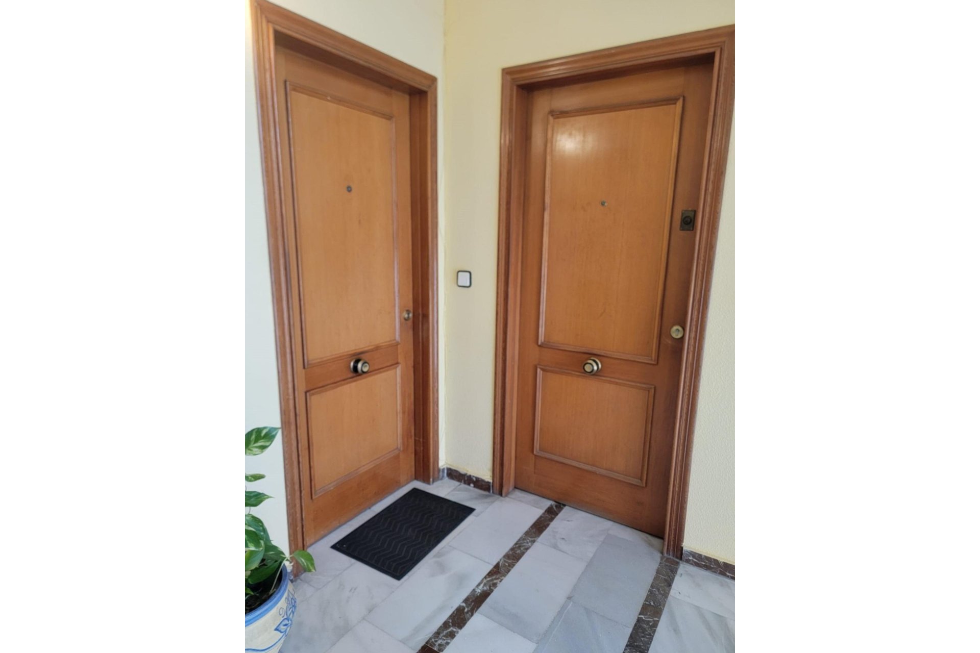 Revente - Apartment -
Torrevieja - Centro