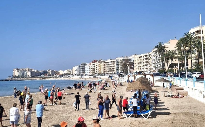 Revente - Apartment -
Torrevieja - Centro