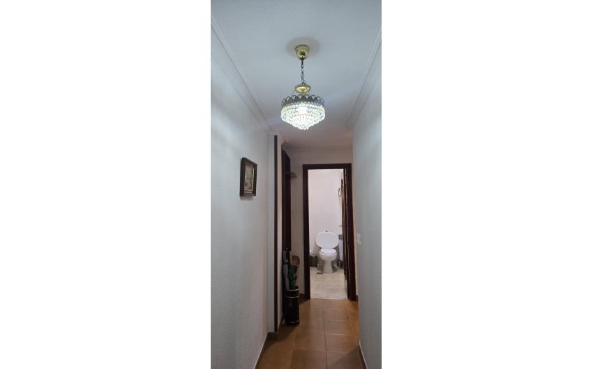 Revente - Apartment -
Torrevieja - Centro