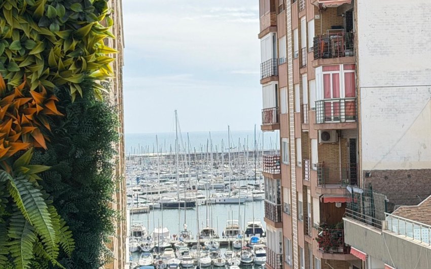 Revente - Apartment -
Torrevieja - Centro