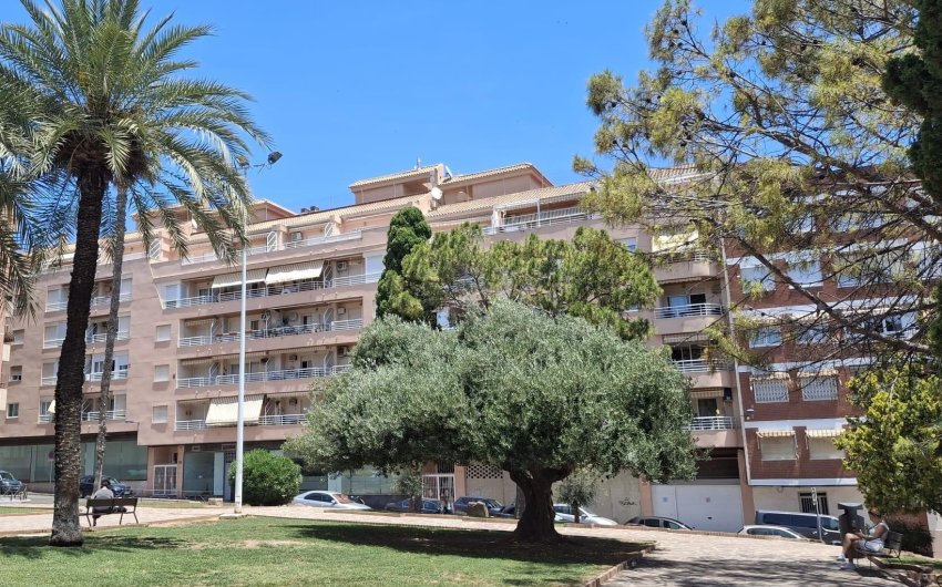 Revente - Apartment -
Torrevieja - Centro