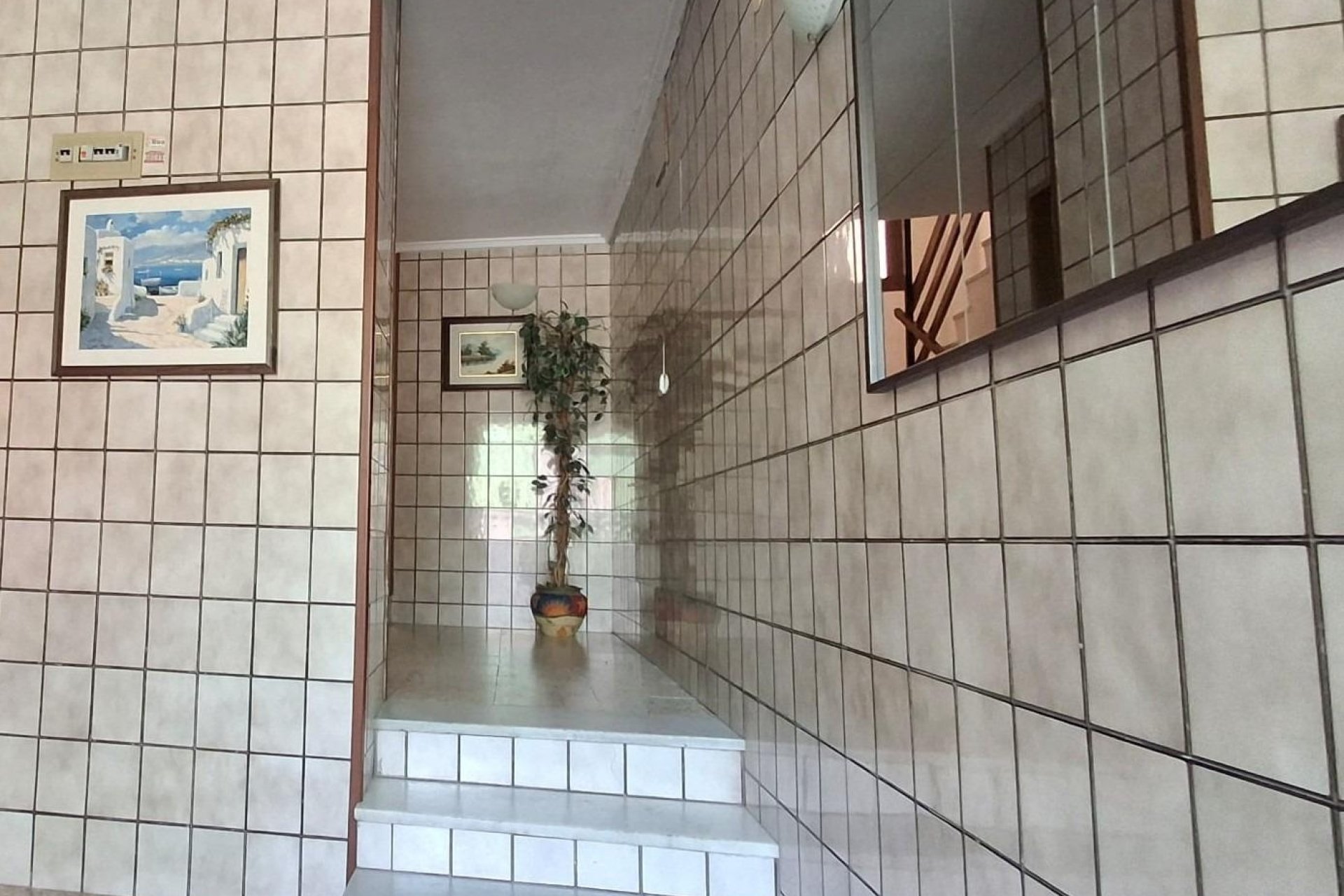 Revente - Apartment -
Torrevieja - Centro