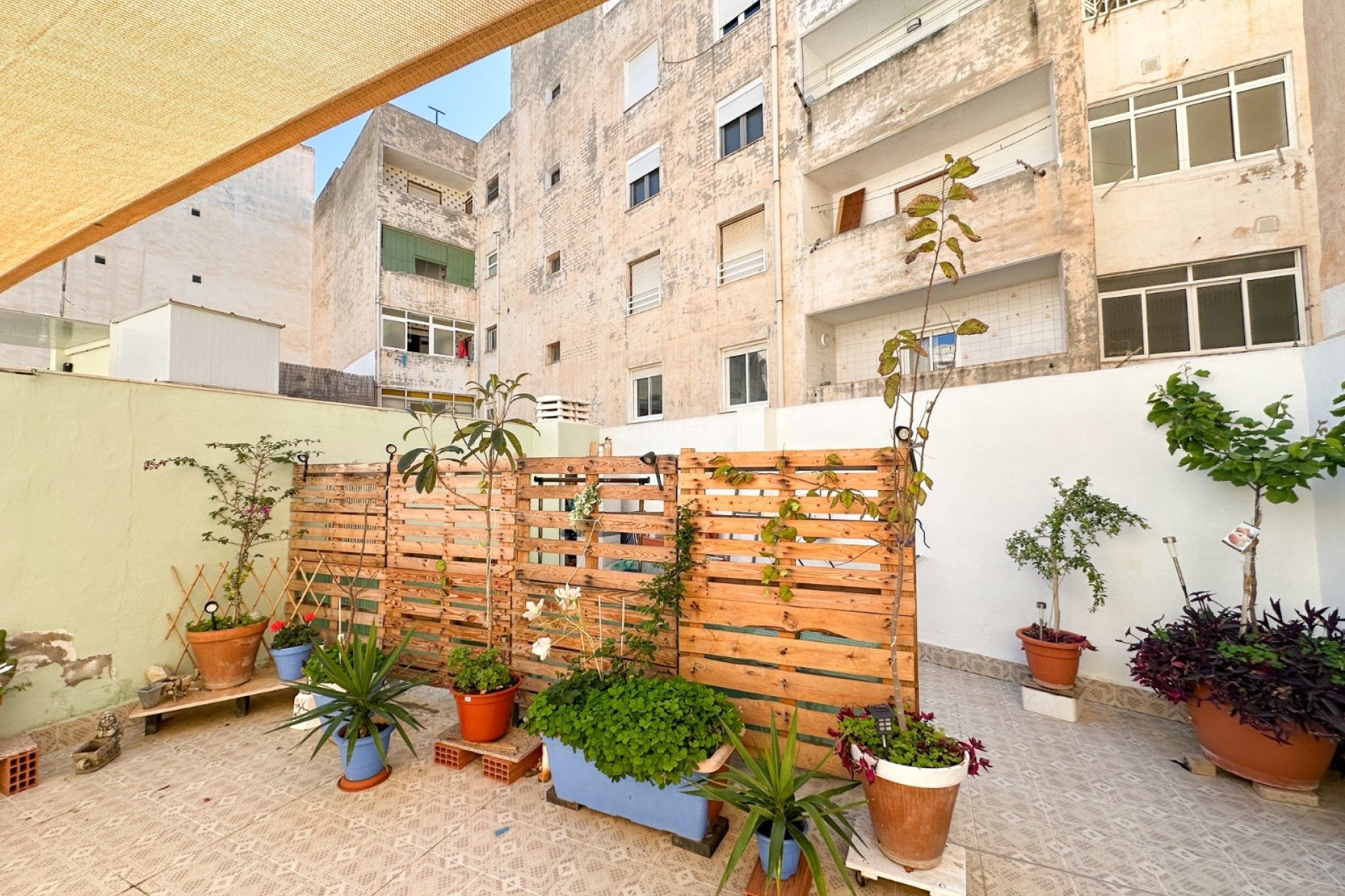Revente - Apartment -
Torrevieja - Costa Blanca