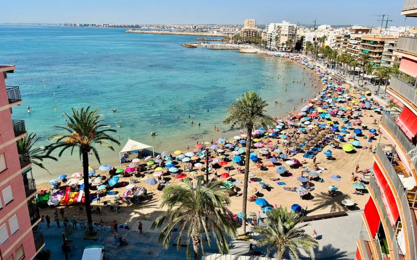 Revente - Apartment -
Torrevieja - Costa Blanca