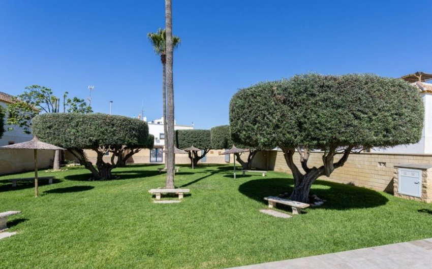Revente - Apartment -
Torrevieja - Costa Blanca