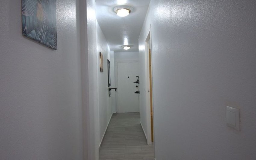 Revente - Apartment -
Torrevieja - Costa Blanca
