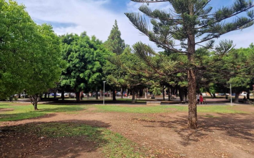 Revente - Apartment -
Torrevieja - Costa Blanca