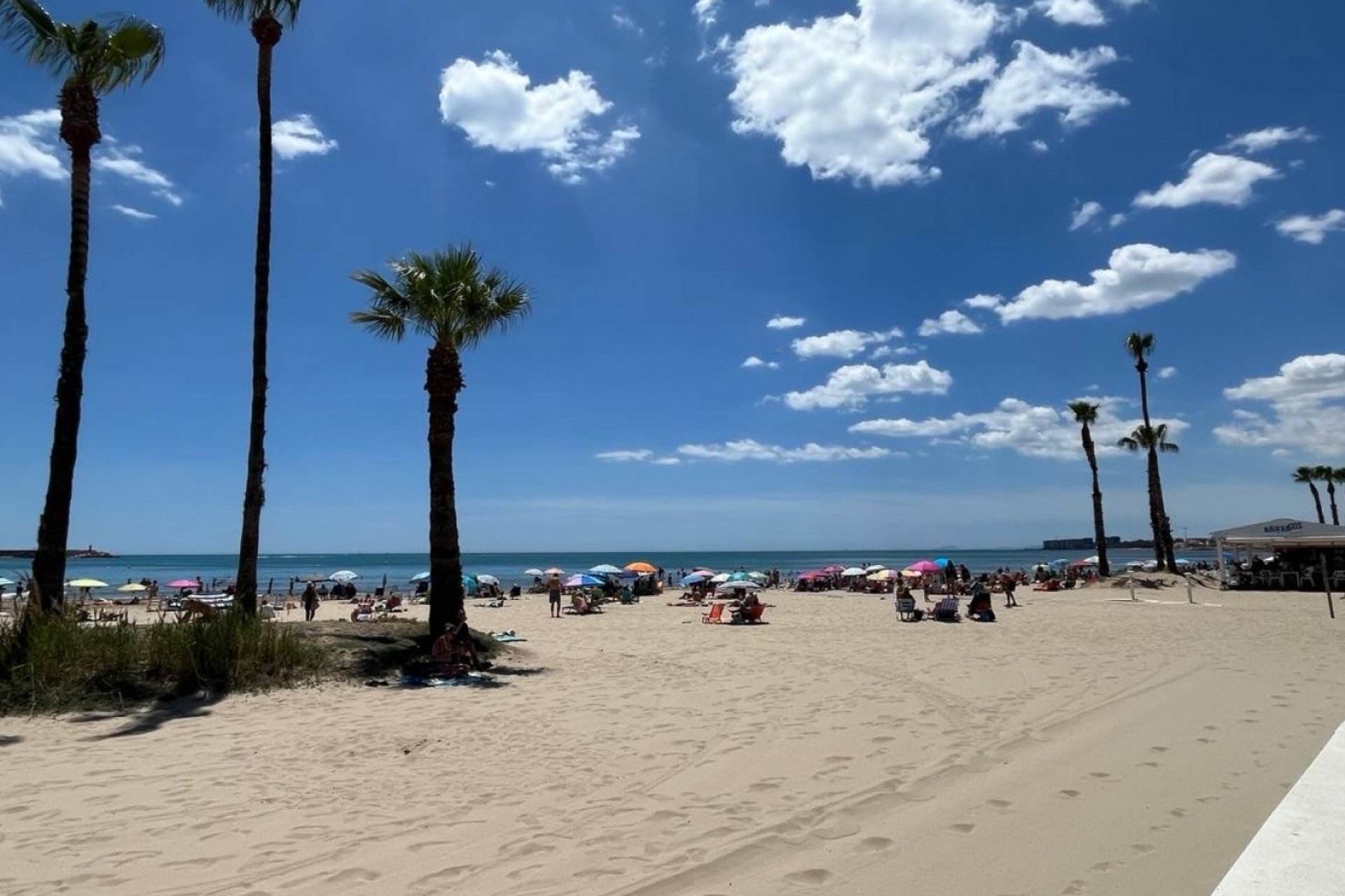 Revente - Apartment -
Torrevieja - Costa Blanca