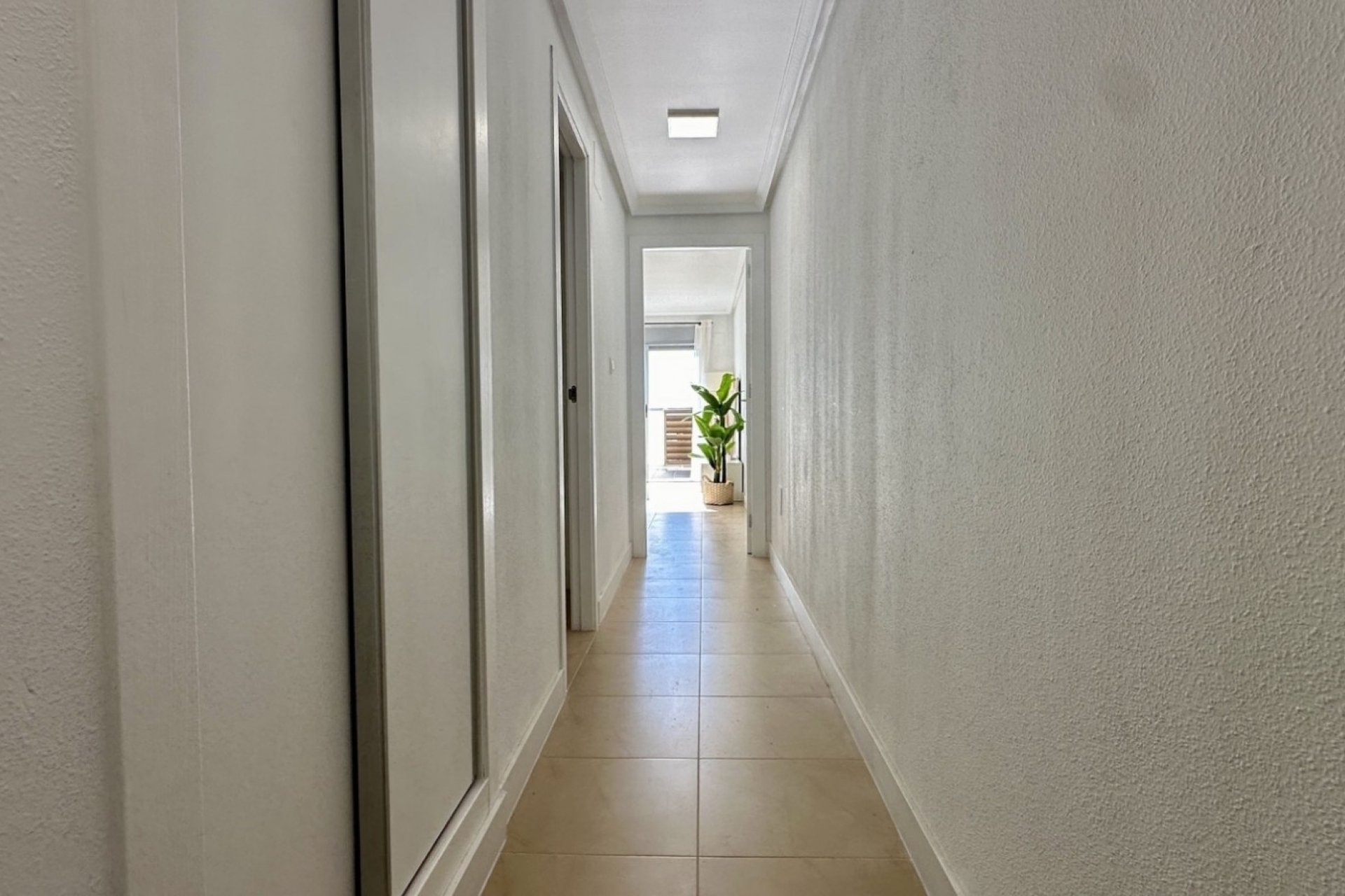 Revente - Apartment -
Torrevieja - Costa Blanca