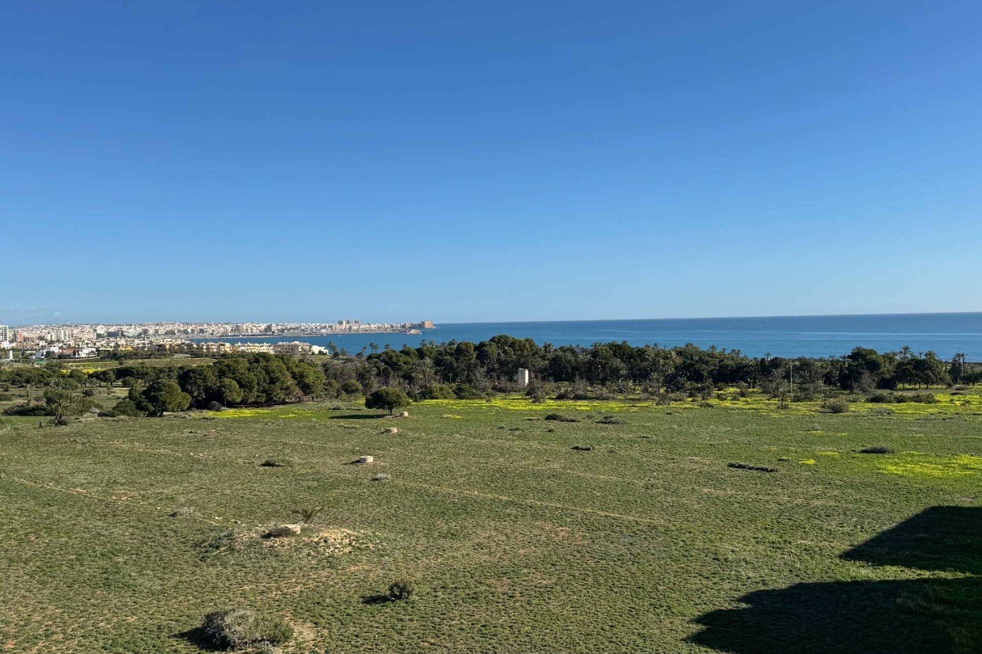 Revente - Apartment -
Torrevieja - Costa Blanca