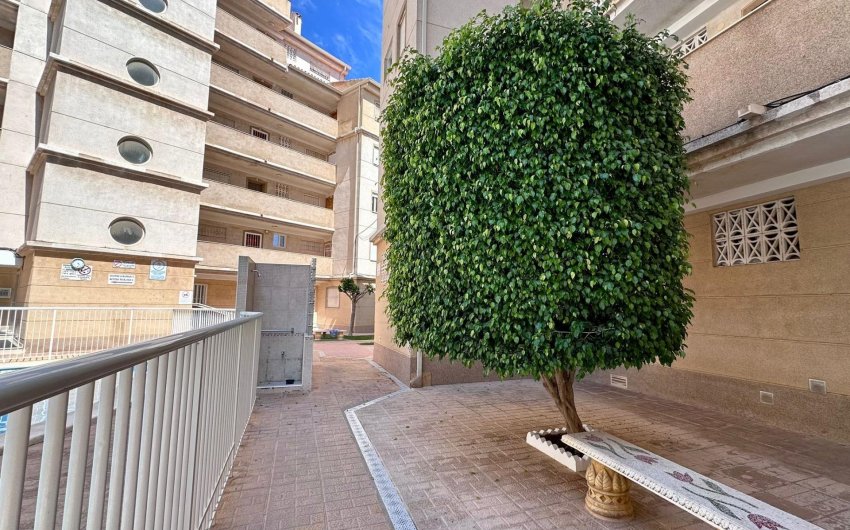 Revente - Apartment -
Torrevieja - Habaneras