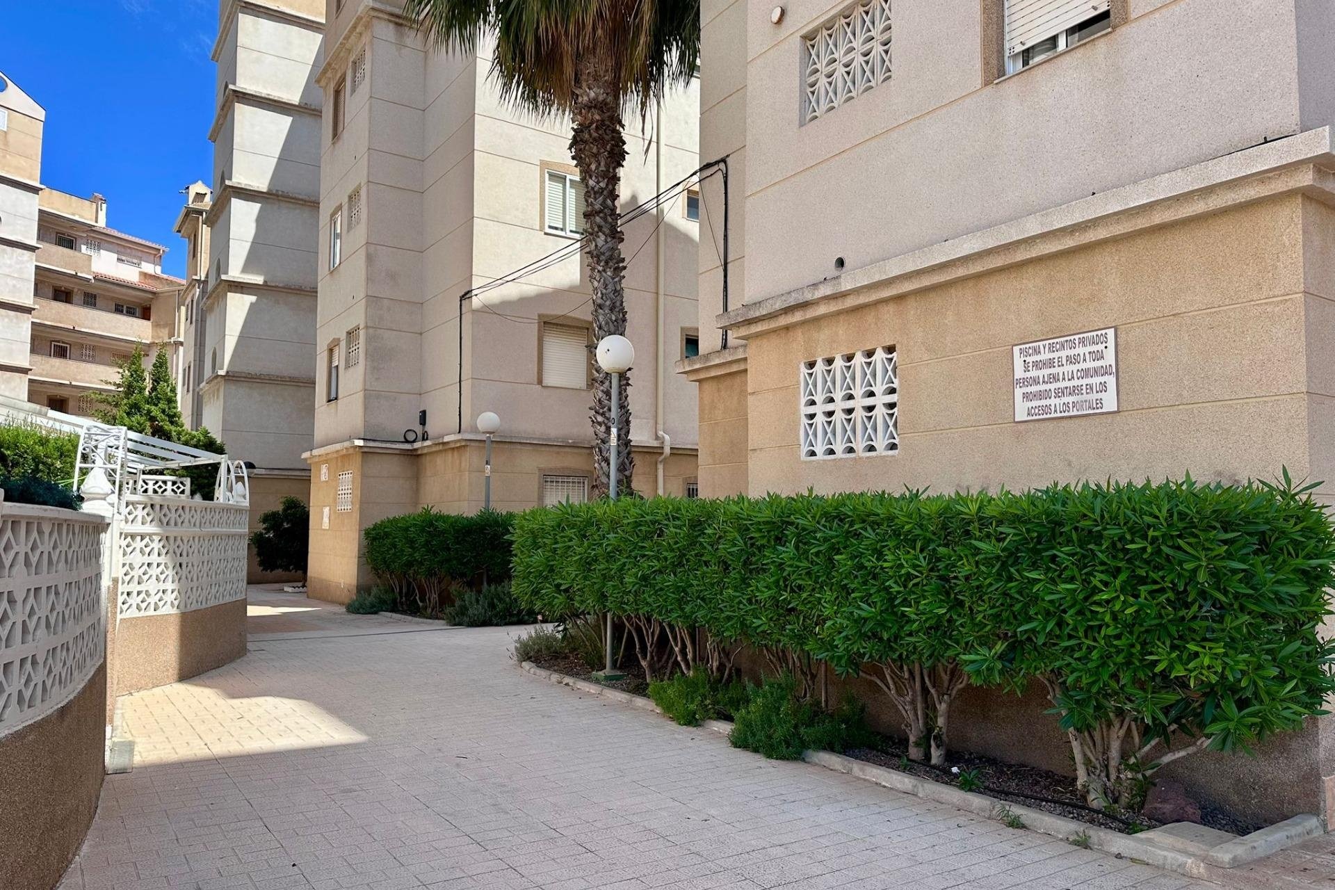Revente - Apartment -
Torrevieja - Habaneras