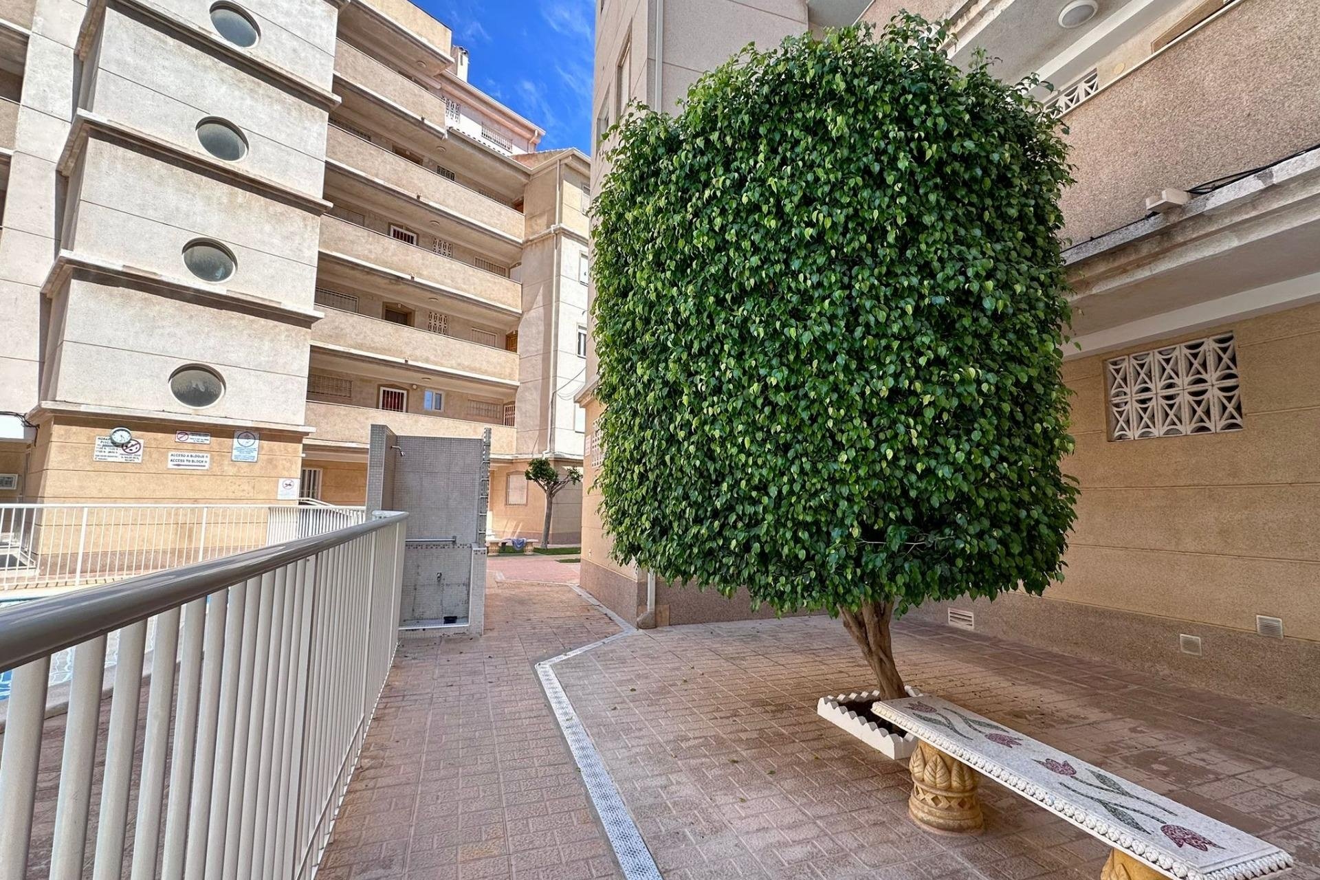 Revente - Apartment -
Torrevieja - Habaneras