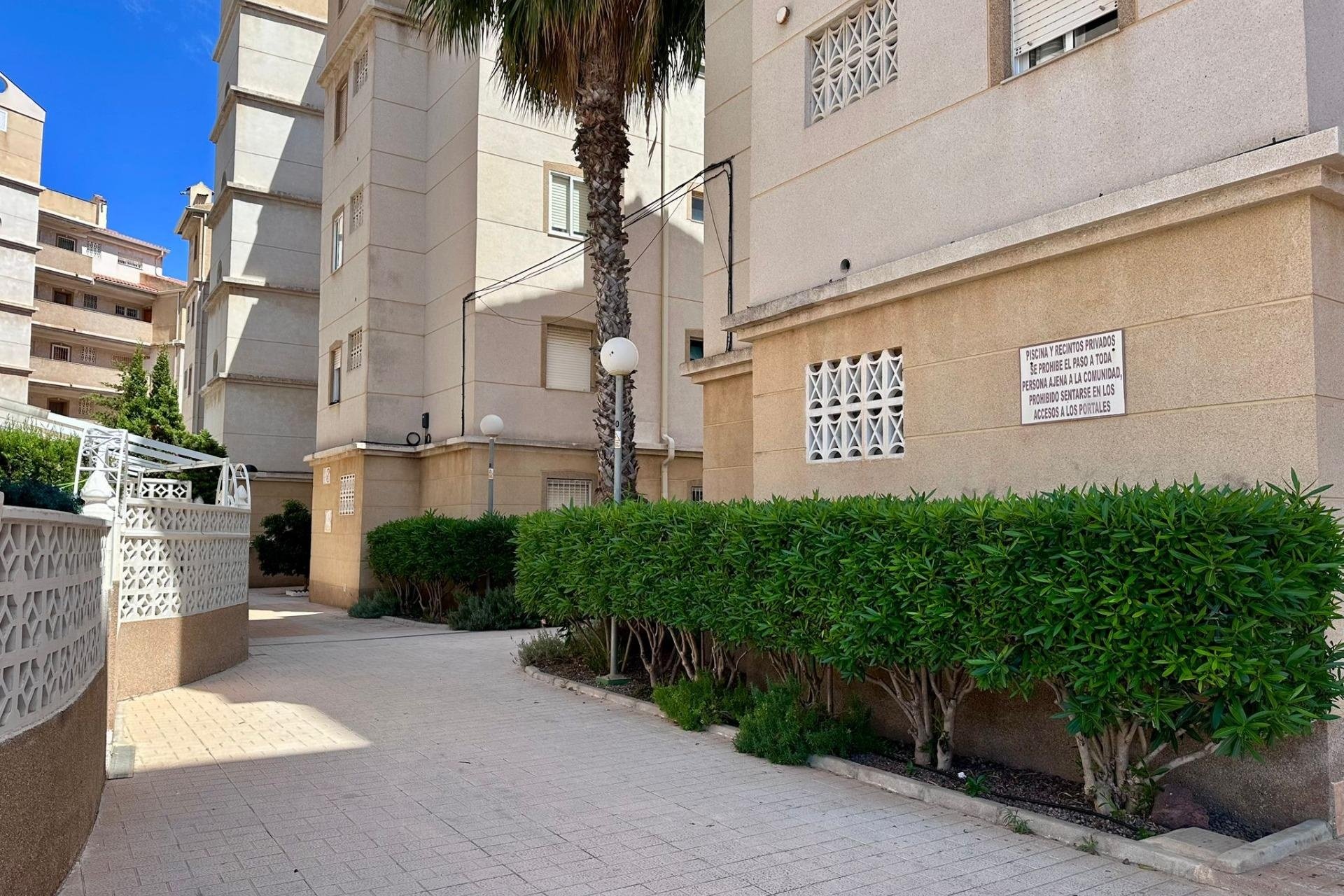 Revente - Apartment -
Torrevieja - Habaneras