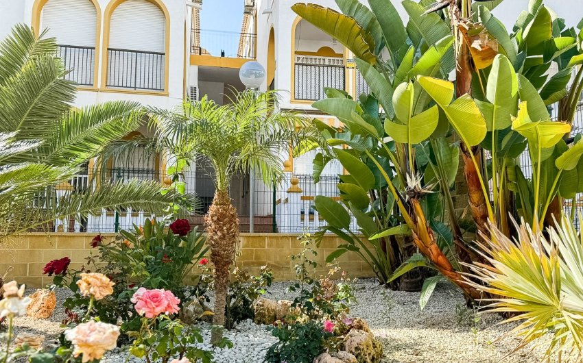 Revente - Apartment -
Torrevieja - La Mata