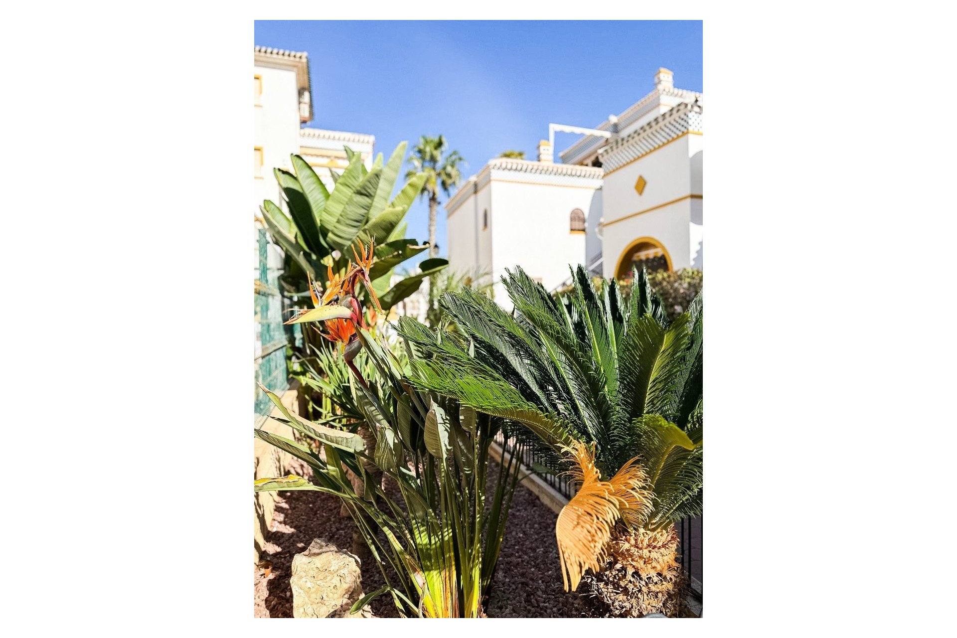 Revente - Apartment -
Torrevieja - La Mata