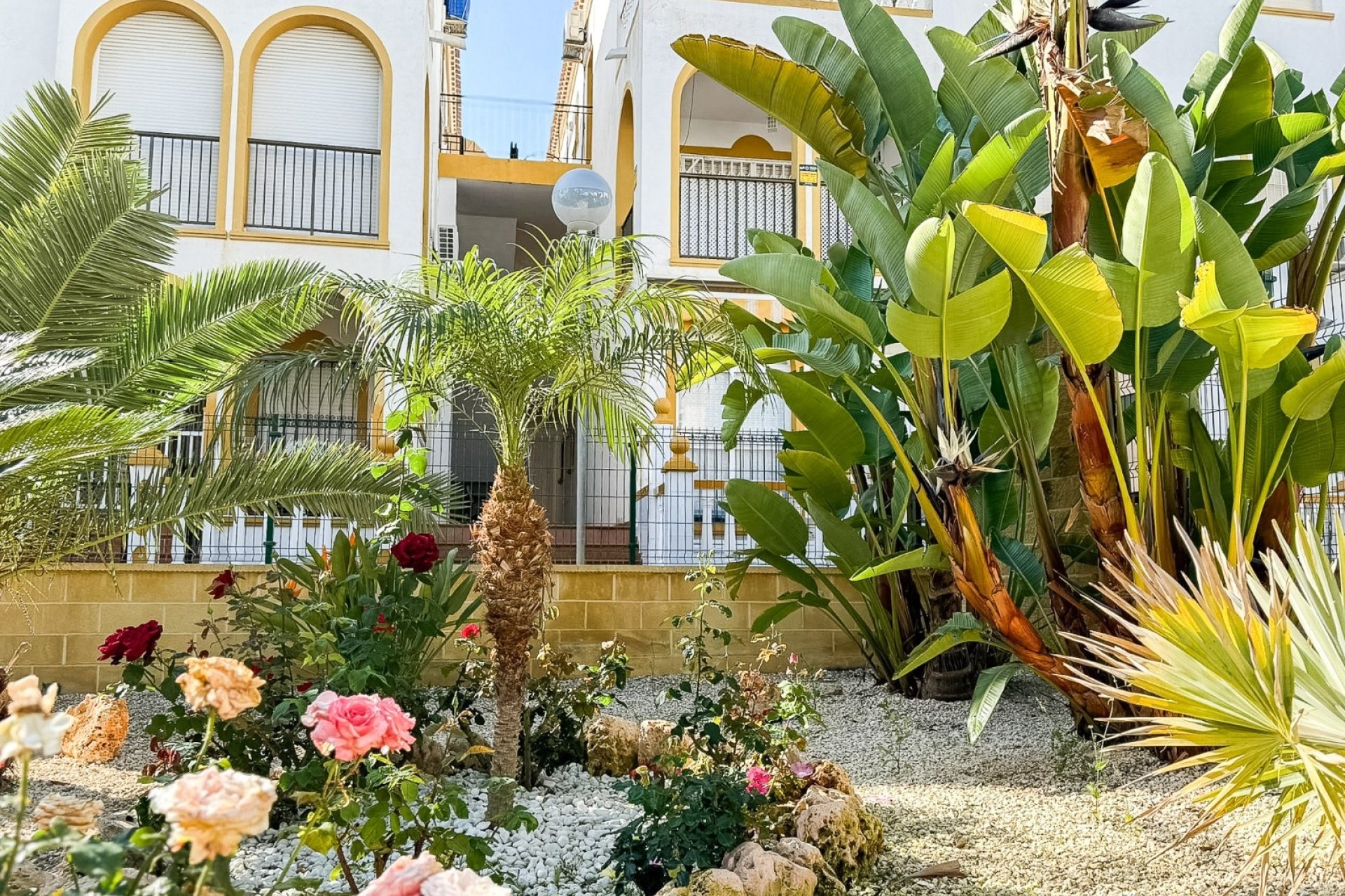 Revente - Apartment -
Torrevieja - La Mata