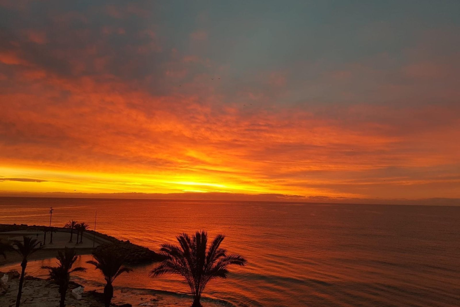 Revente - Apartment -
Torrevieja - Las Piscinas Naturales