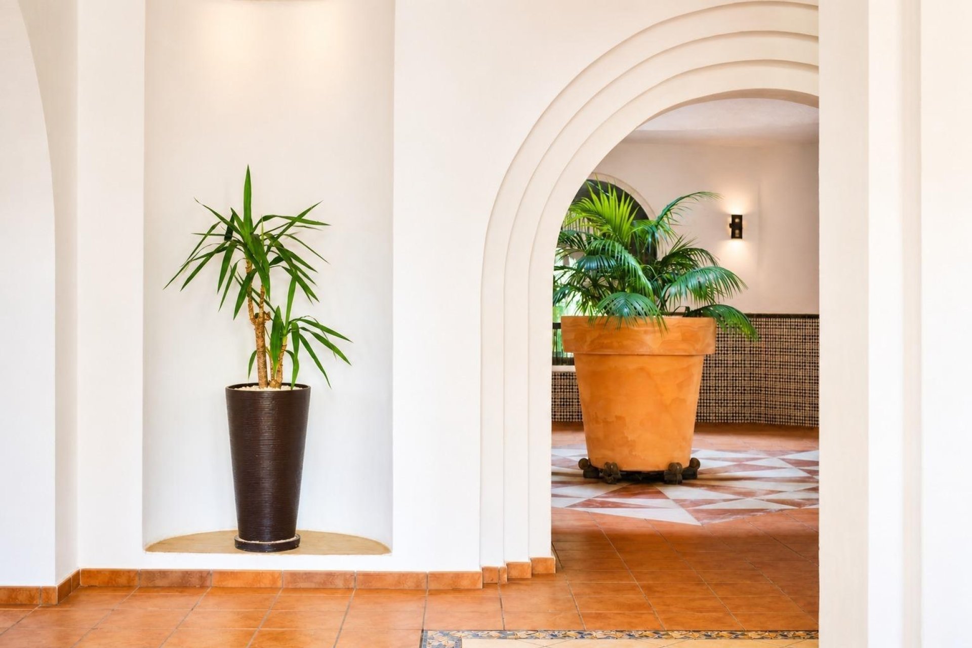 Revente - Apartment -
Torrevieja - Los Frutales