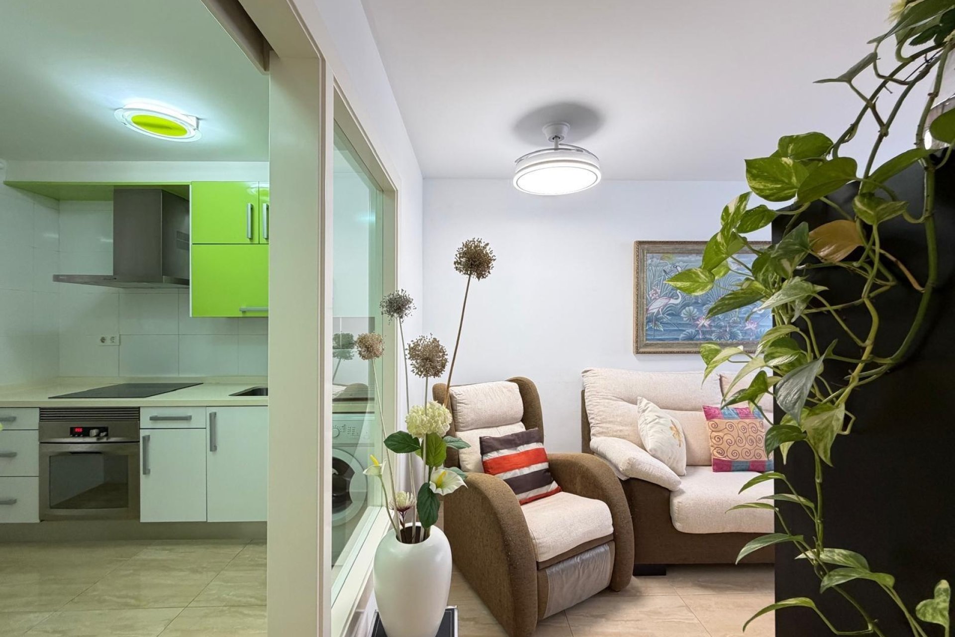 Revente - Apartment -
Torrevieja - Paseo Maritimo