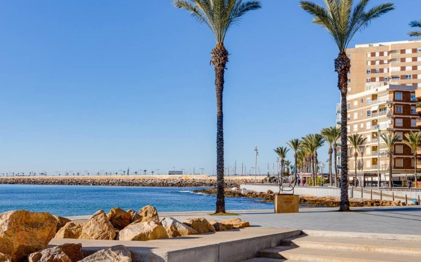 Revente - Apartment -
Torrevieja - Paseo Maritimo