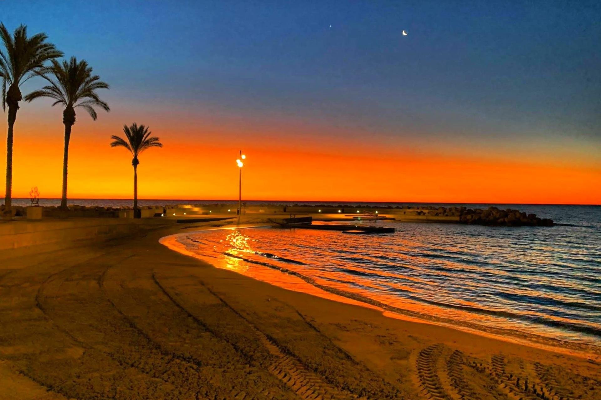 Revente - Apartment -
Torrevieja - Paseo Maritimo