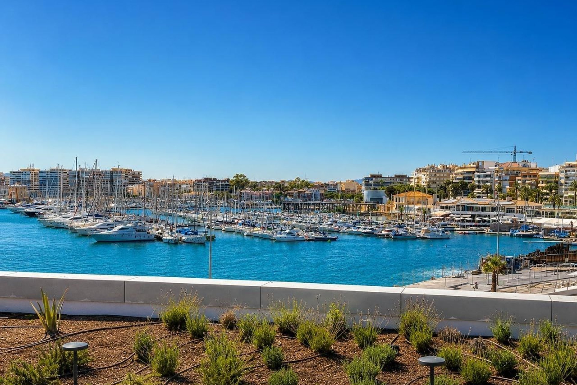 Revente - Apartment -
Torrevieja - Playa del Cura