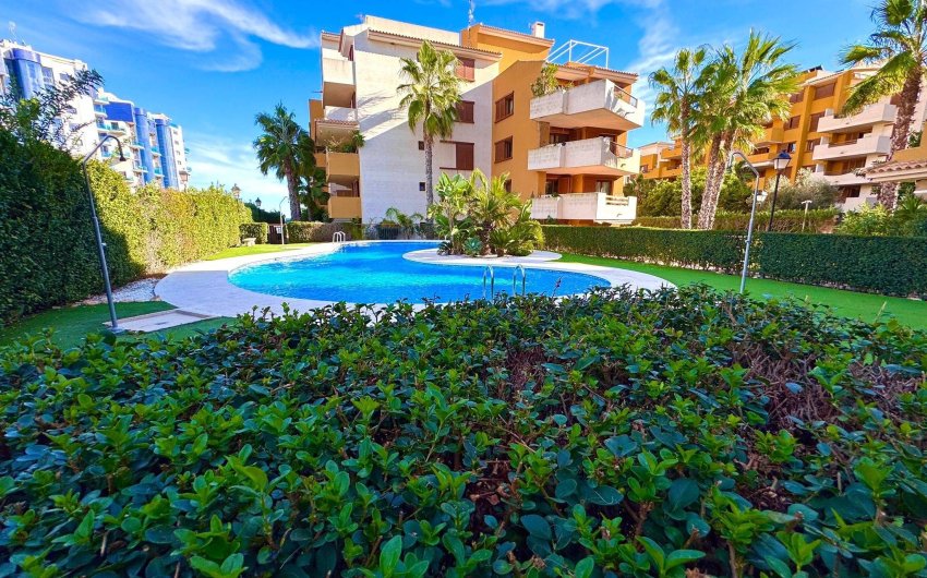 Revente - Apartment -
Torrevieja - Punta Prima