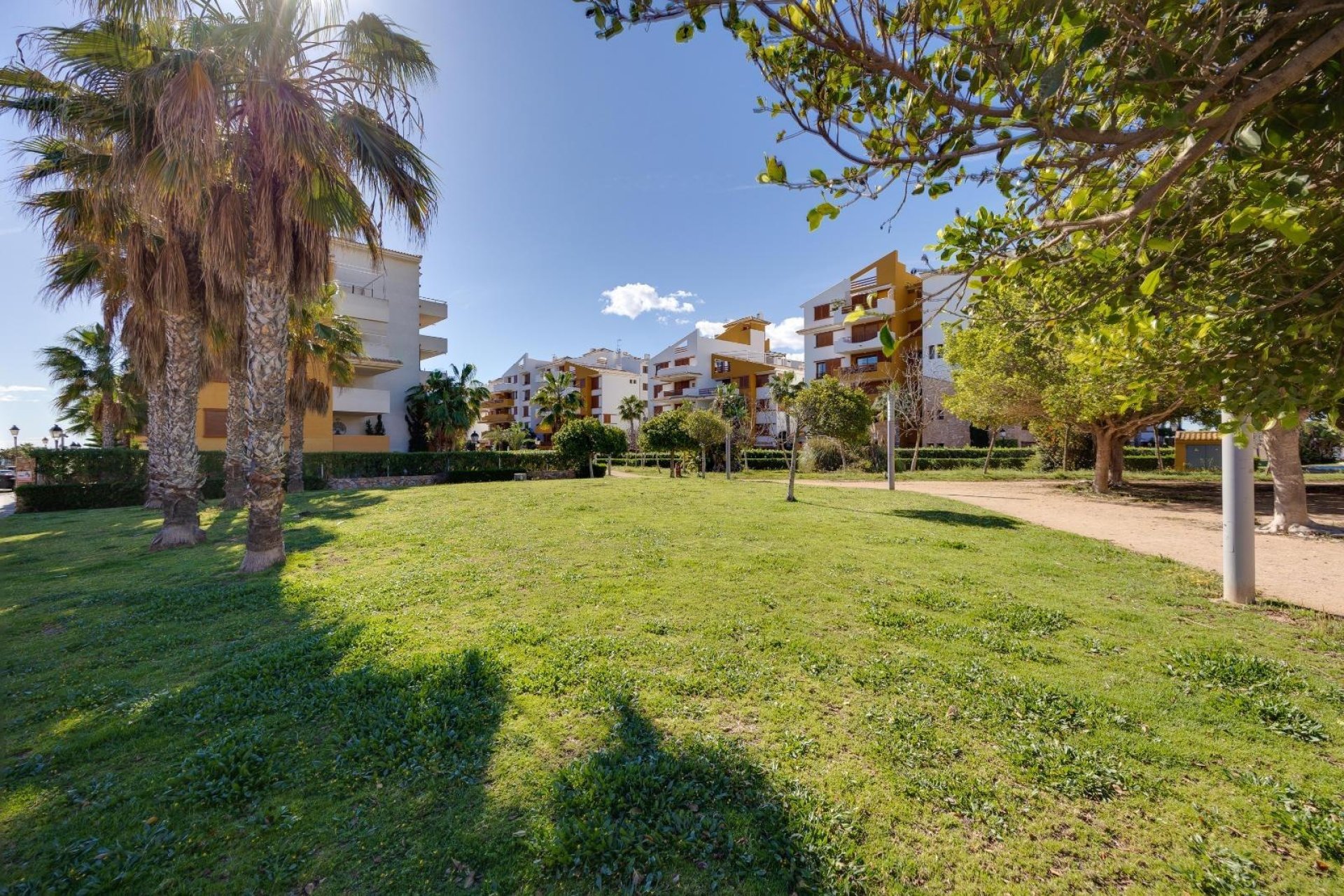 Revente - Apartment -
Torrevieja - Punta Prima