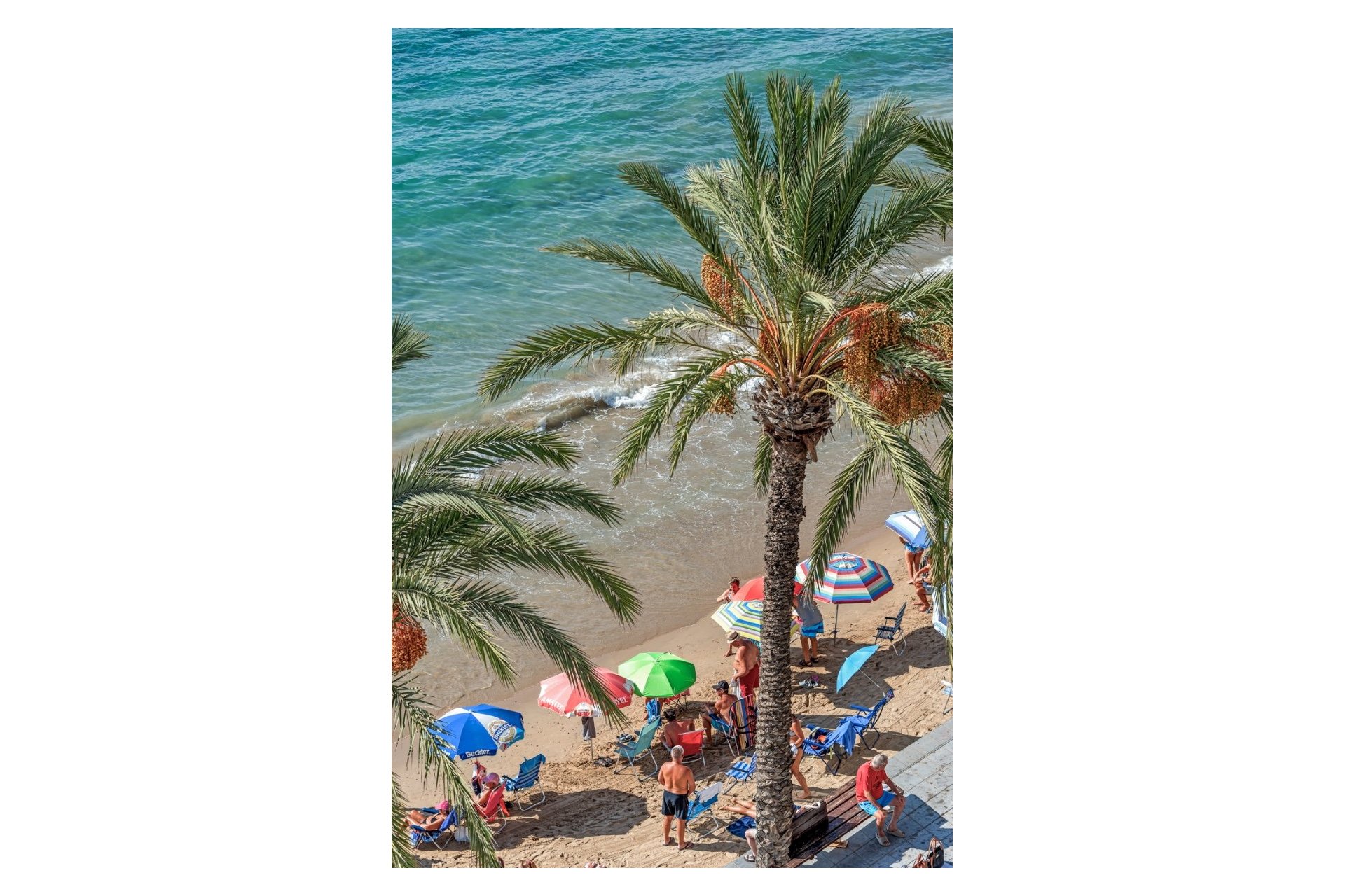 Revente - Apartment -
Torrevieja