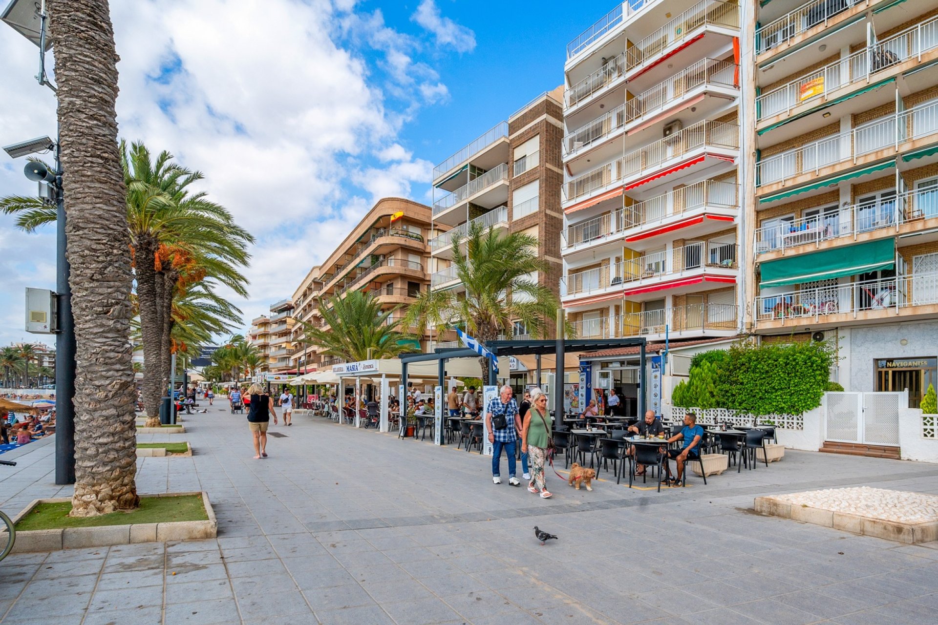 Revente - Apartment -
Torrevieja