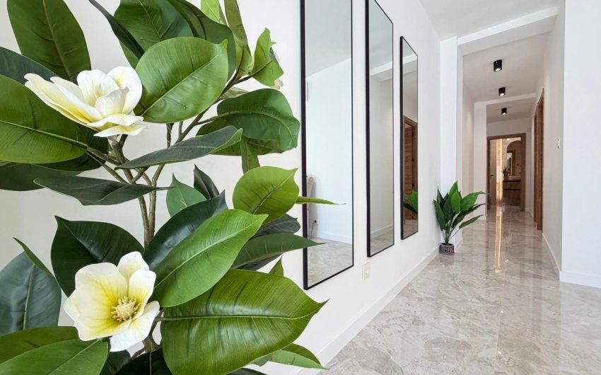 Revente - Attique -
Torrevieja - Estacion De Autobuses