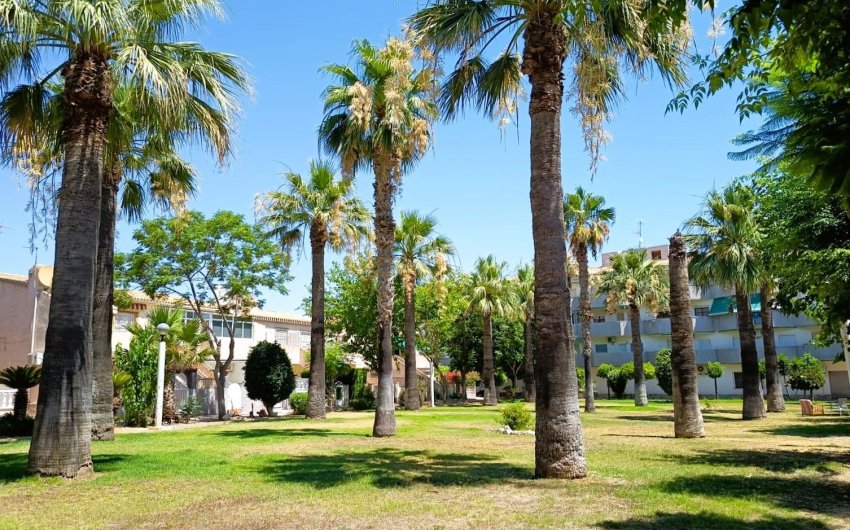 Revente - Bungalow -
Orihuela Costa - Costa Blanca