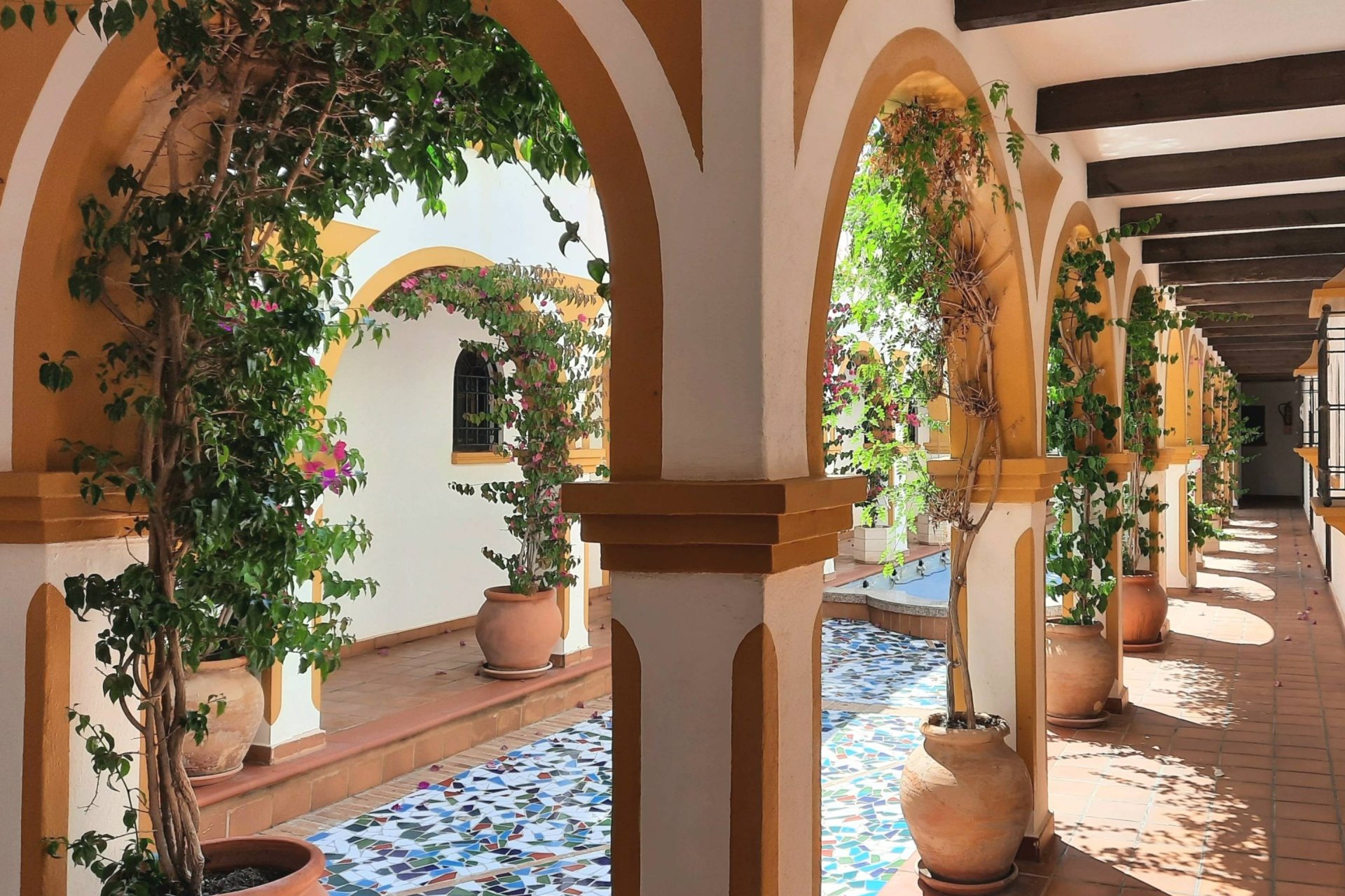 Revente - Bungalow -
Torrevieja - La Mata