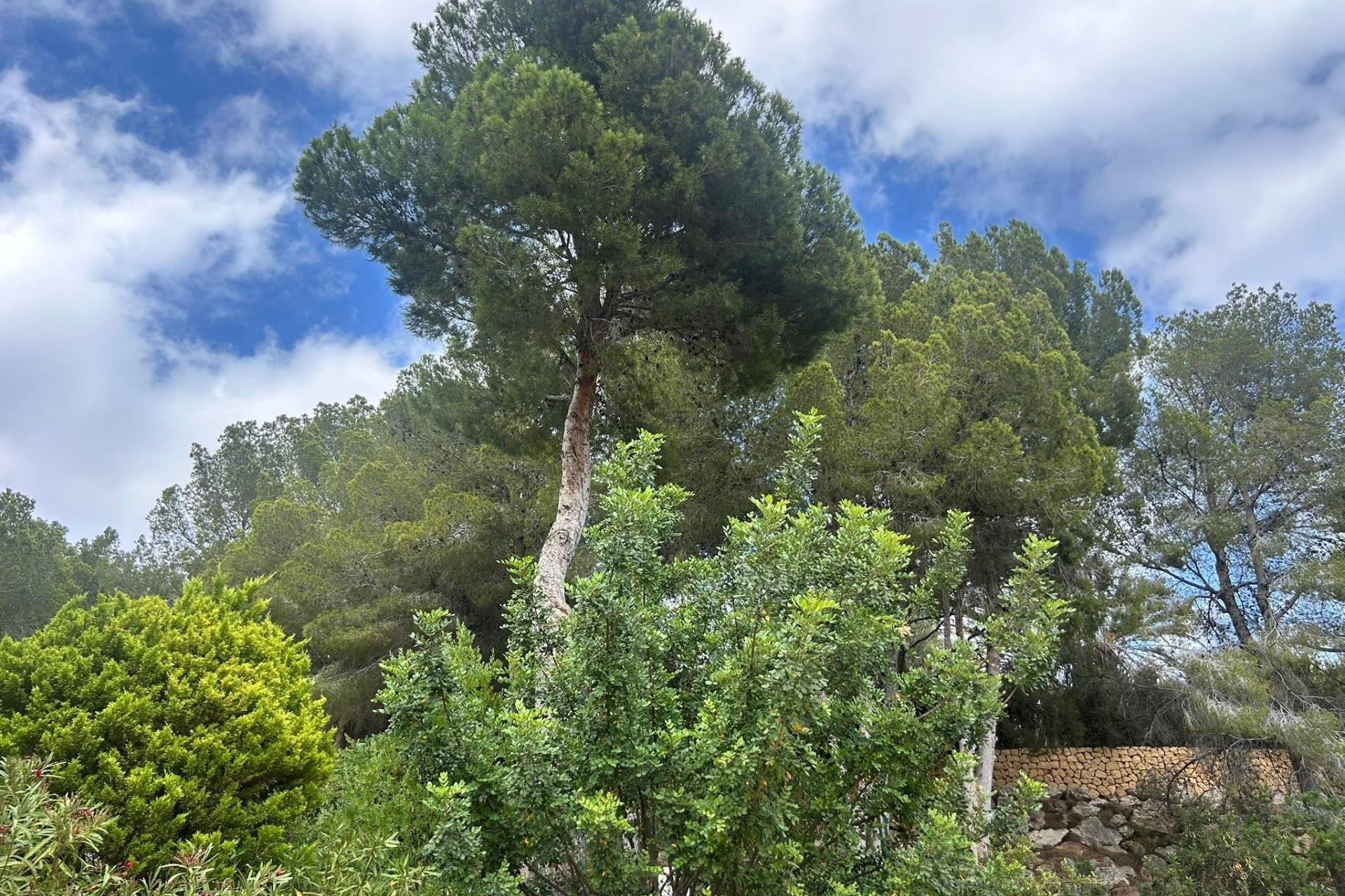 Revente - Chalet -
Altea - Altea Hills