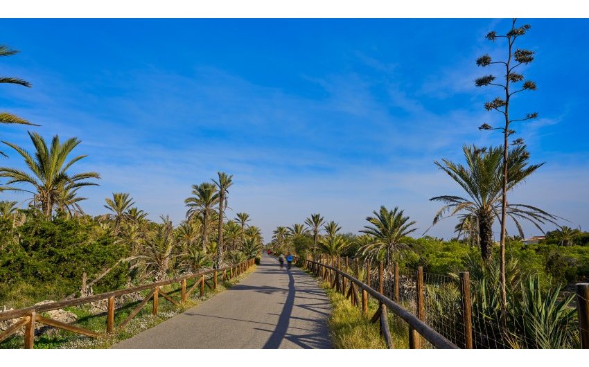 Revente - Commercial -
Guardamar del Segura - Center