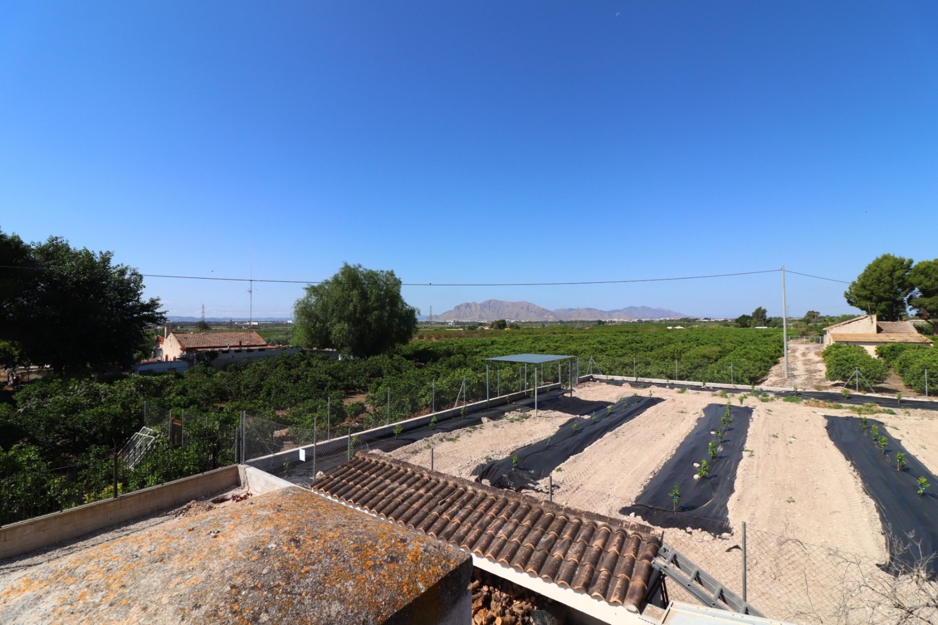 Revente - Country House -
Albatera - Albatera - Country