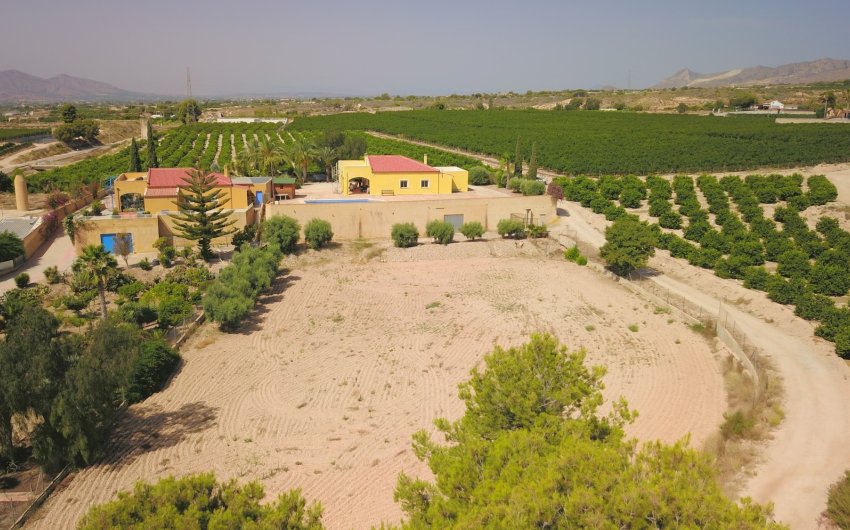 Revente - Country House -
Albatera - Albatera - Country
