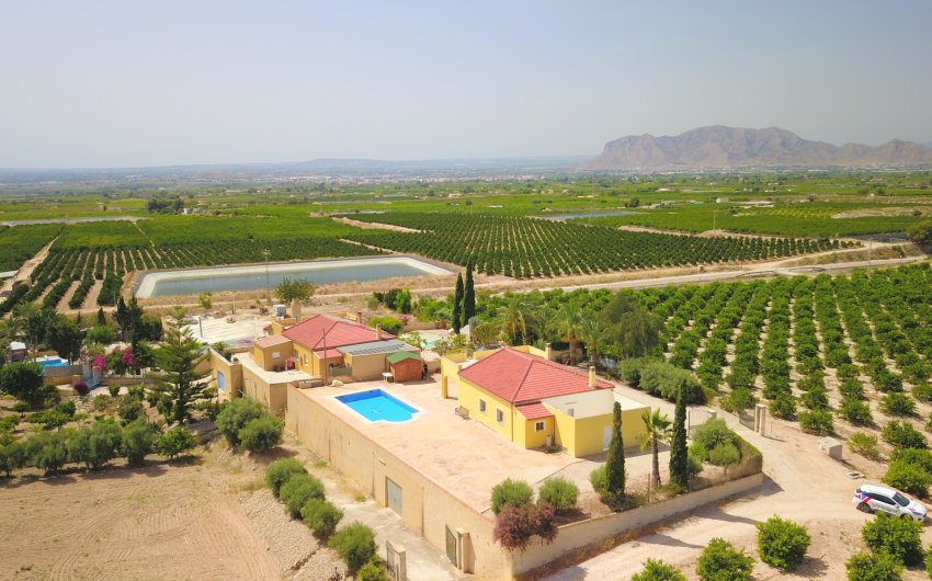 Revente - Country House -
Albatera - Albatera - Country