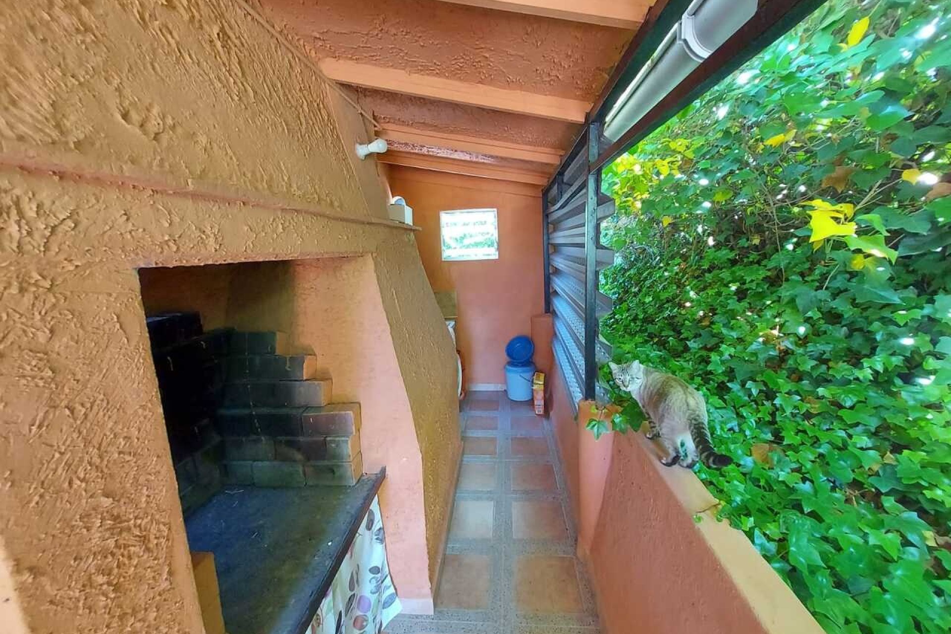 Revente - Country House -
Calasparra - Inland