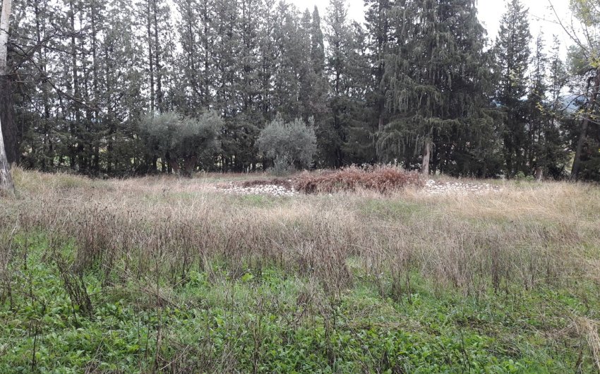 Revente - Country House -
Caravaca de la Cruz - Inland