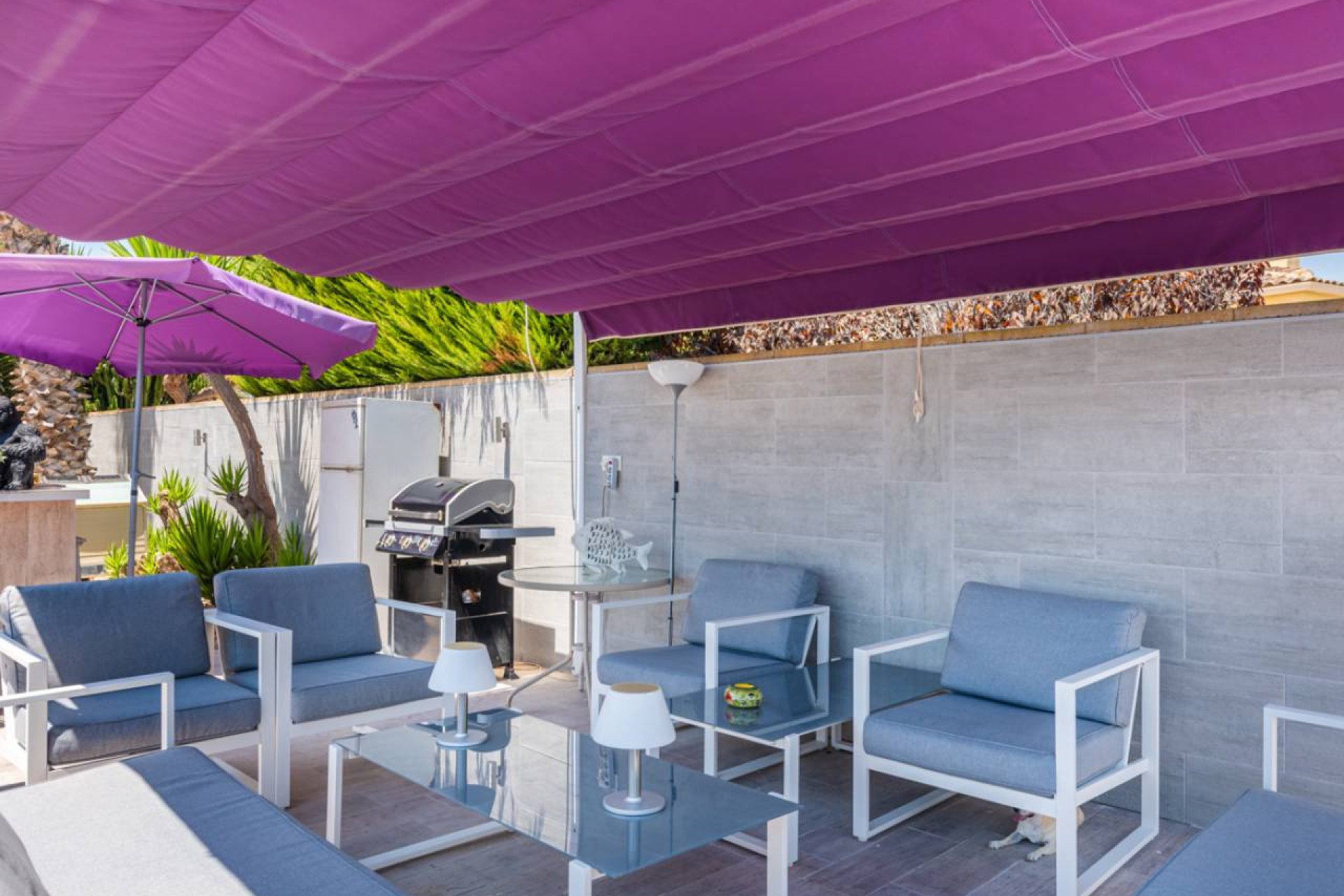 Revente - Country House -
Catral