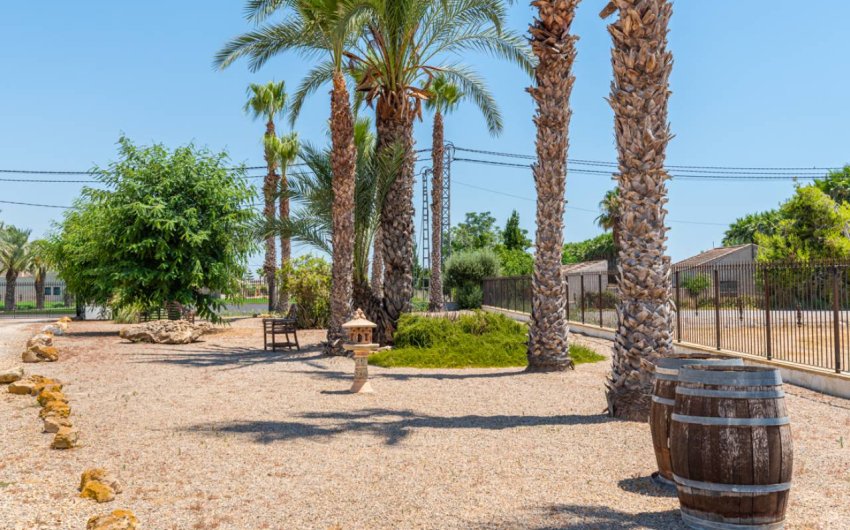 Revente - Country House -
Catral