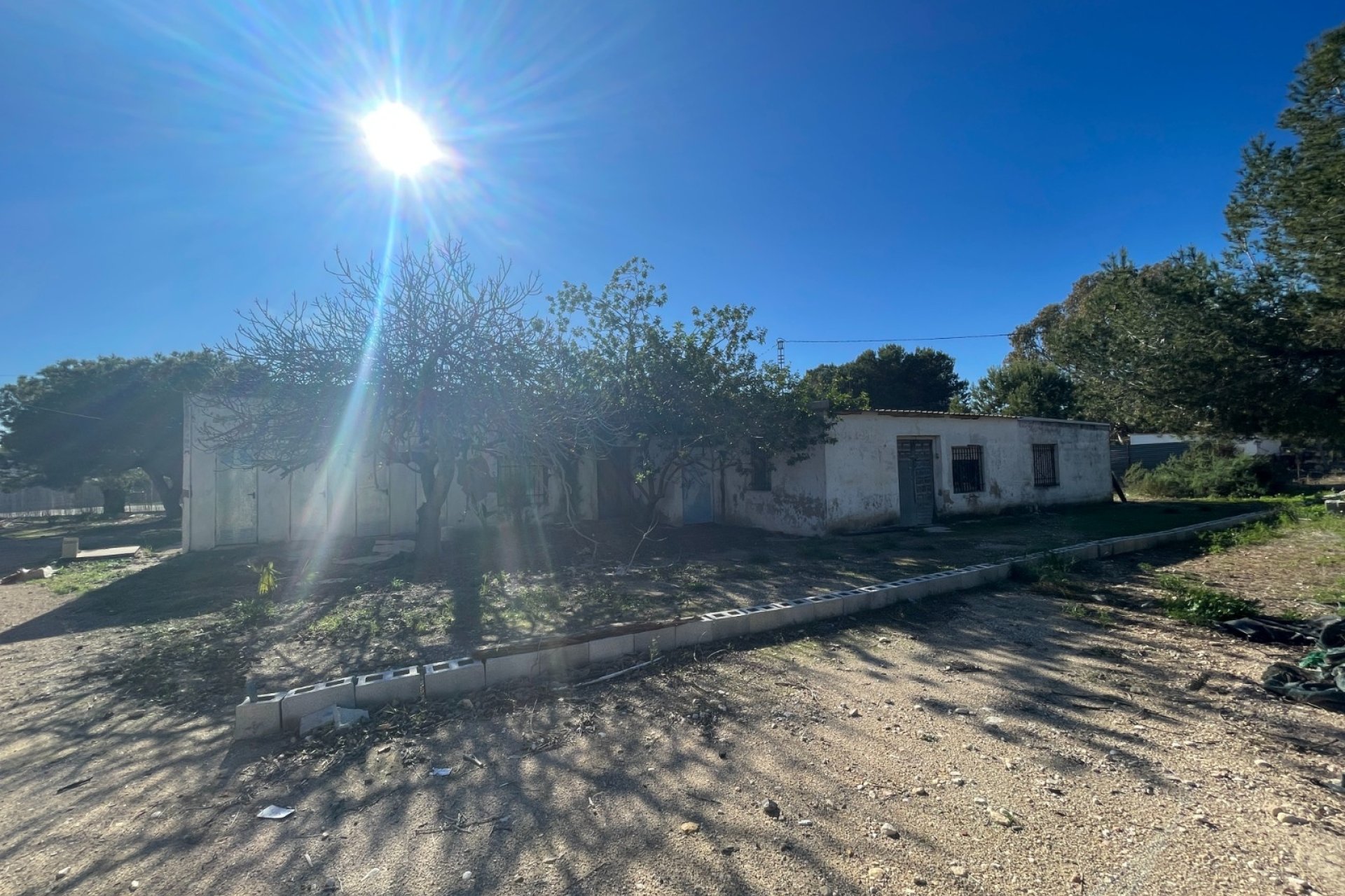 Revente - Country House -
Elche - Costa Blanca