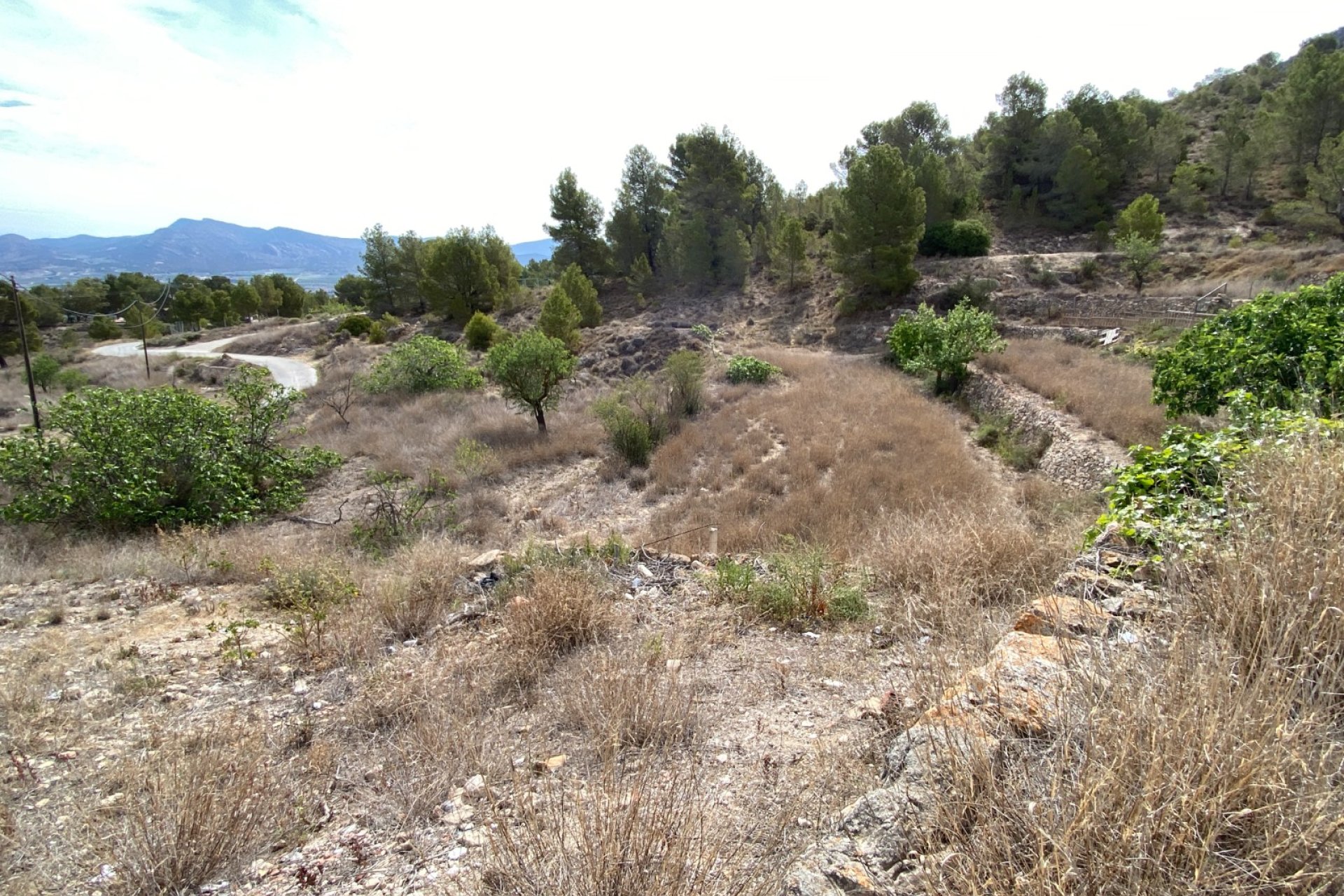 Revente - Country House -
Elda