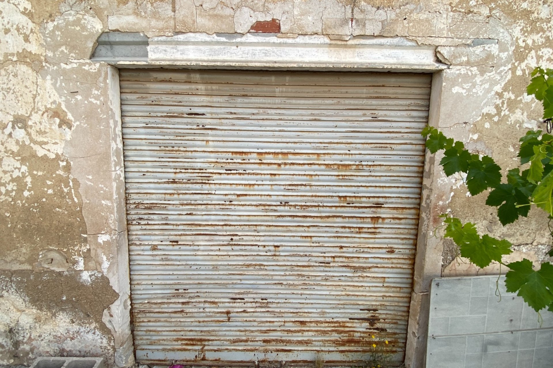 Revente - Country House -
Elda