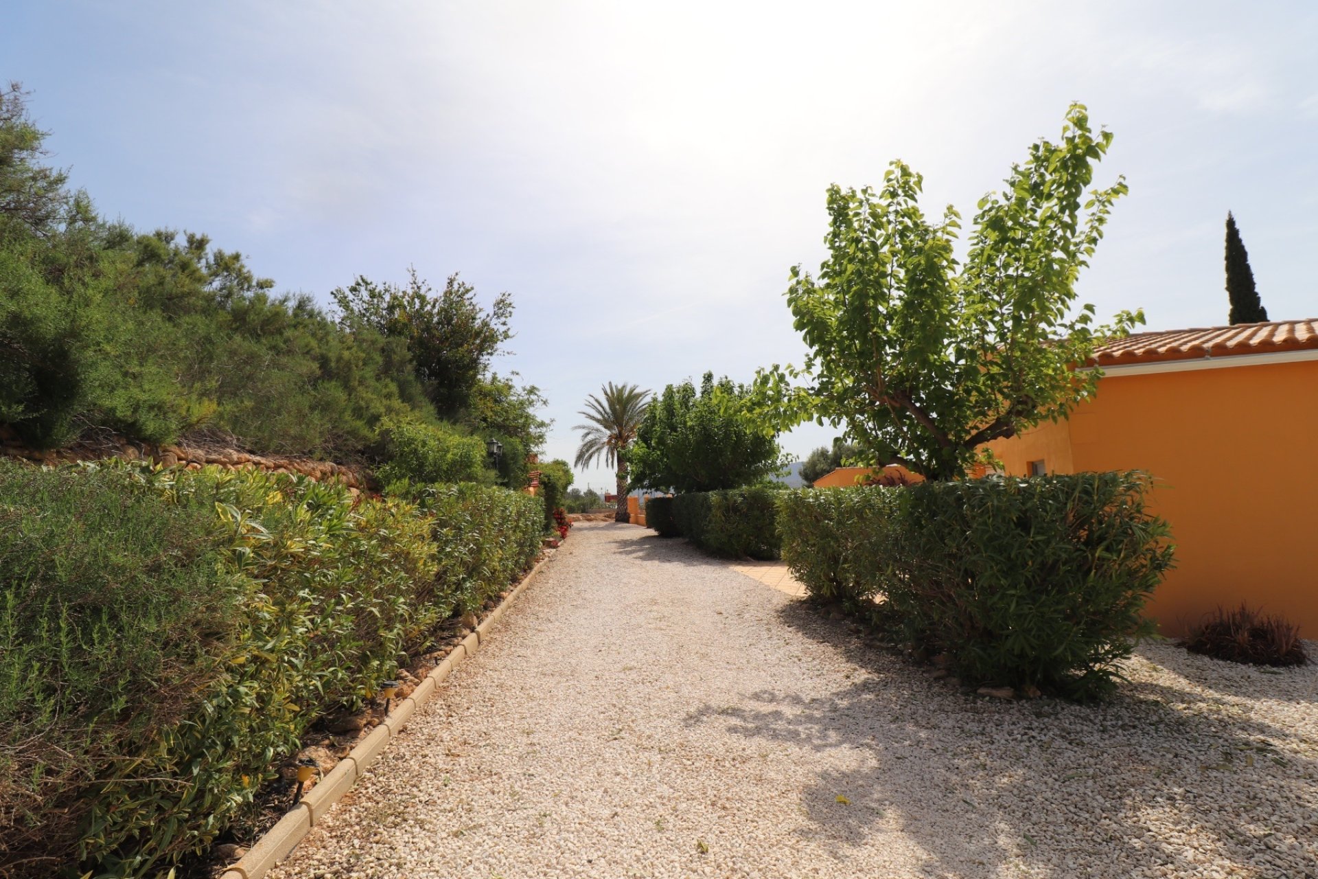 Revente - Country House -
Hondón de las Nieves - LA CANALOSA