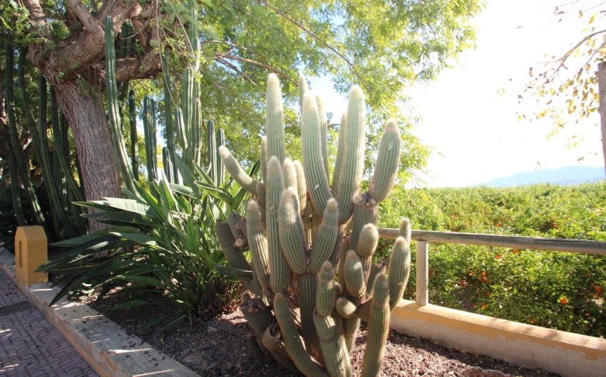 Revente - Country House -
Murcia - Costa Blanca